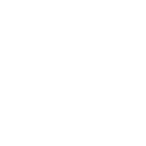 The Print Story