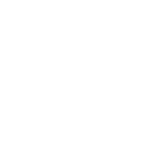 The Print Story